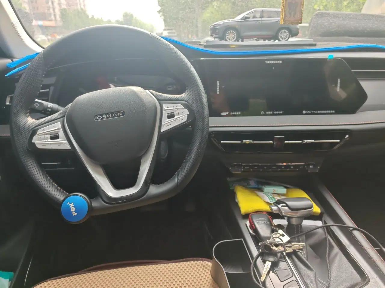 CHANGAN OSHAN X7 PLUS 2022 1.5T Blue Whale Edition Automatic Prestige Version — миниатюра 10