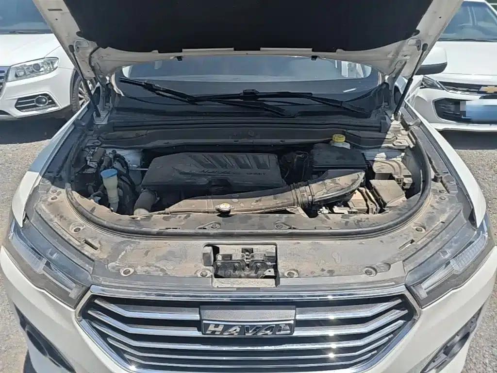 Haval H4 2019 1.5GDIT DCT Luxury Intelligent Edition (National V Emission Standard) — миниатюра 20