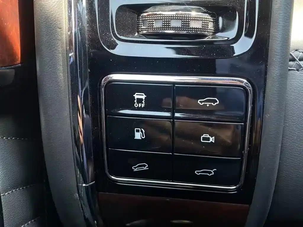 Hongqi Golden Sunflower National Glory 2022 4.0T Premium Flagship Edition 4-seater — миниатюра 17