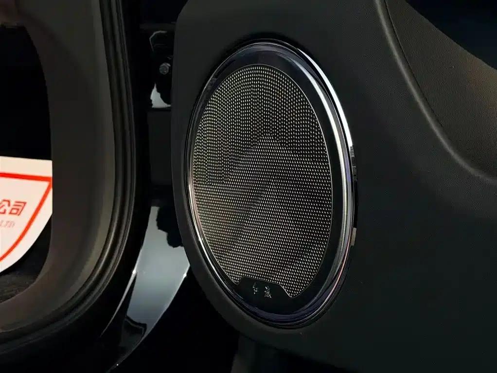 Hongqi Golden Sunflower National Glory 2022 4.0T Premium Flagship Edition 4-seater — миниатюра 30