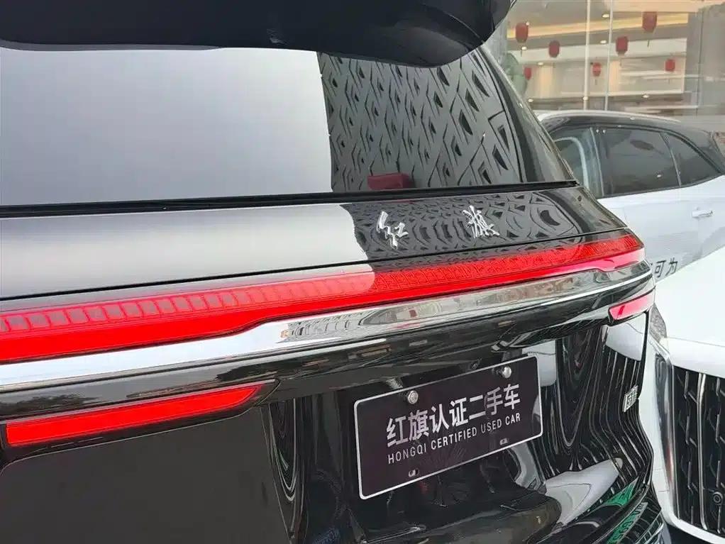 Hongqi Golden Sunflower National Glory 2022 4.0T Premium Flagship Edition 4-seater — миниатюра 6