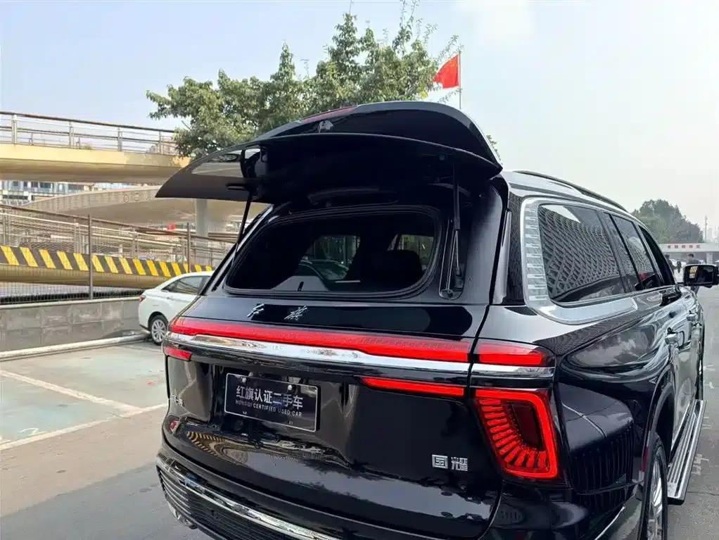 Hongqi Golden Sunflower National Glory 2022 4.0T Premium Flagship Edition 4-seater — миниатюра 7