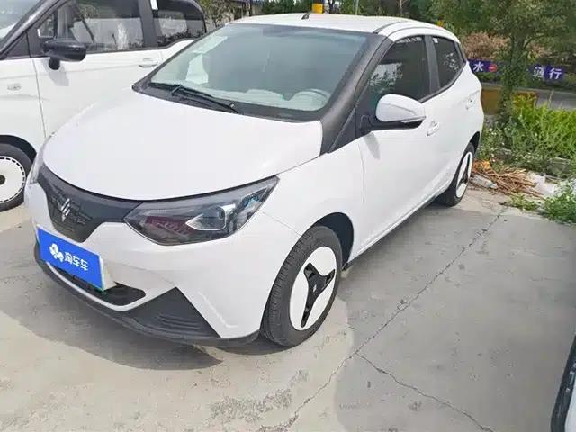 Yizhi EV2 2024 Model 201km Comfort