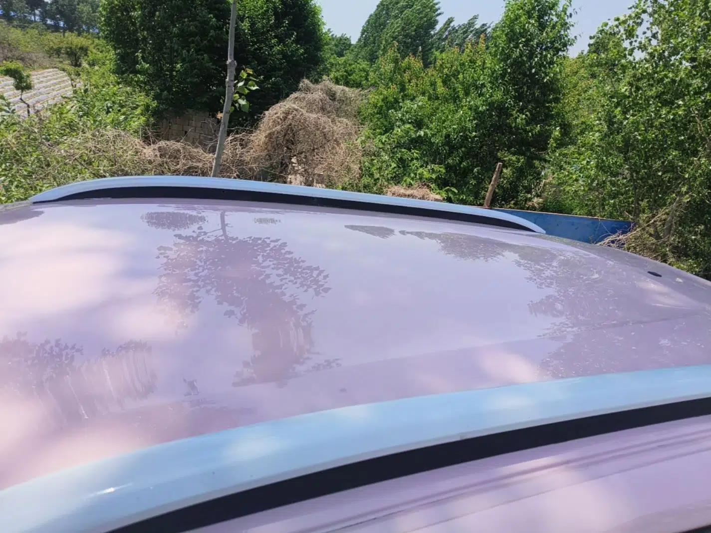 Dongfeng NAMMI BOX 2022 Revised Light Wind Edition 201 km Standard Version — миниатюра 11