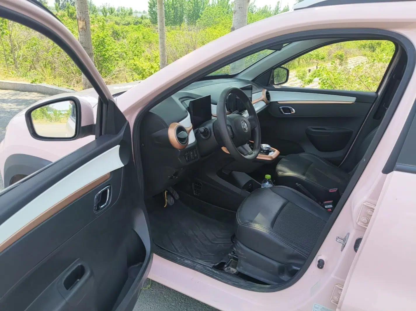Dongfeng NAMMI BOX 2022 Revised Light Wind Edition 201 km Standard Version — миниатюра 19