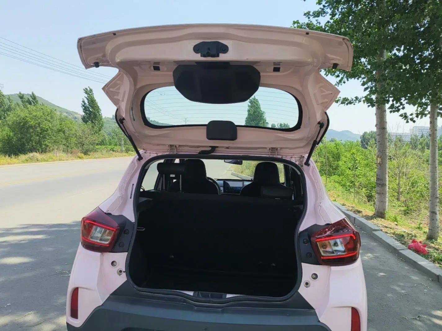 Dongfeng NAMMI BOX 2022 Revised Light Wind Edition 201 km Standard Version — миниатюра 22