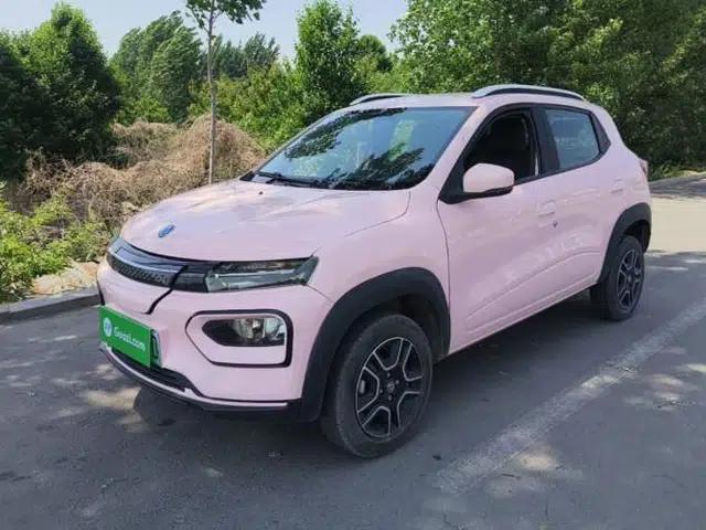 Dongfeng NAMMI BOX 2022 Revised Light Wind Edition 201 km Standard Version