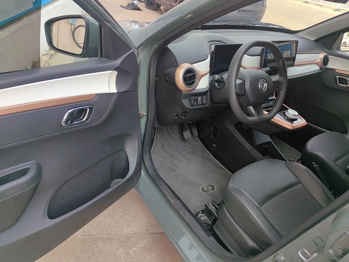 Dongfeng NAMMI BOX 2022 Champion Edition Light Wind Version 201KM Standard Model — миниатюра 19
