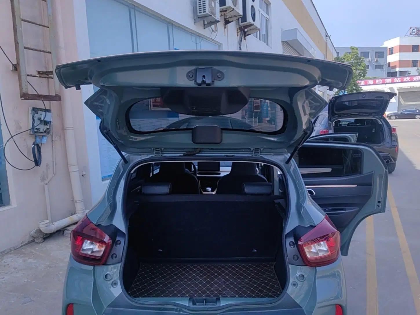 Dongfeng NAMMI BOX 2022 Champion Edition Light Wind Version 201KM Standard Model — миниатюра 22