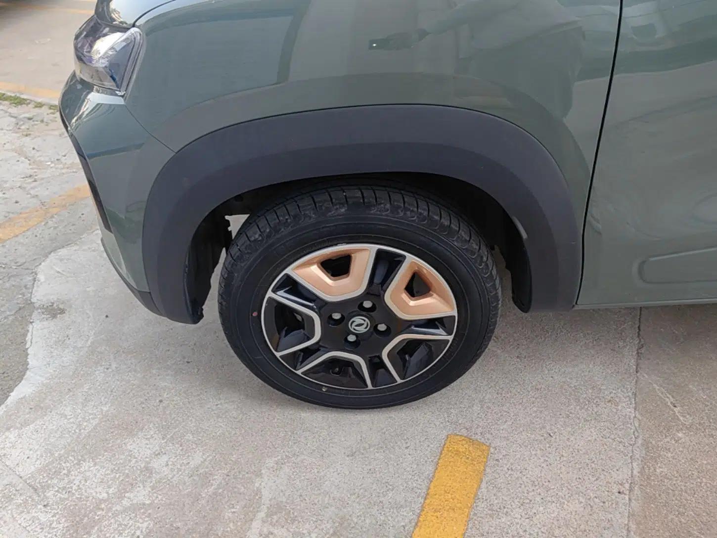 Dongfeng NAMMI BOX 2022 Champion Edition Light Wind Version 201KM Standard Model — миниатюра 8