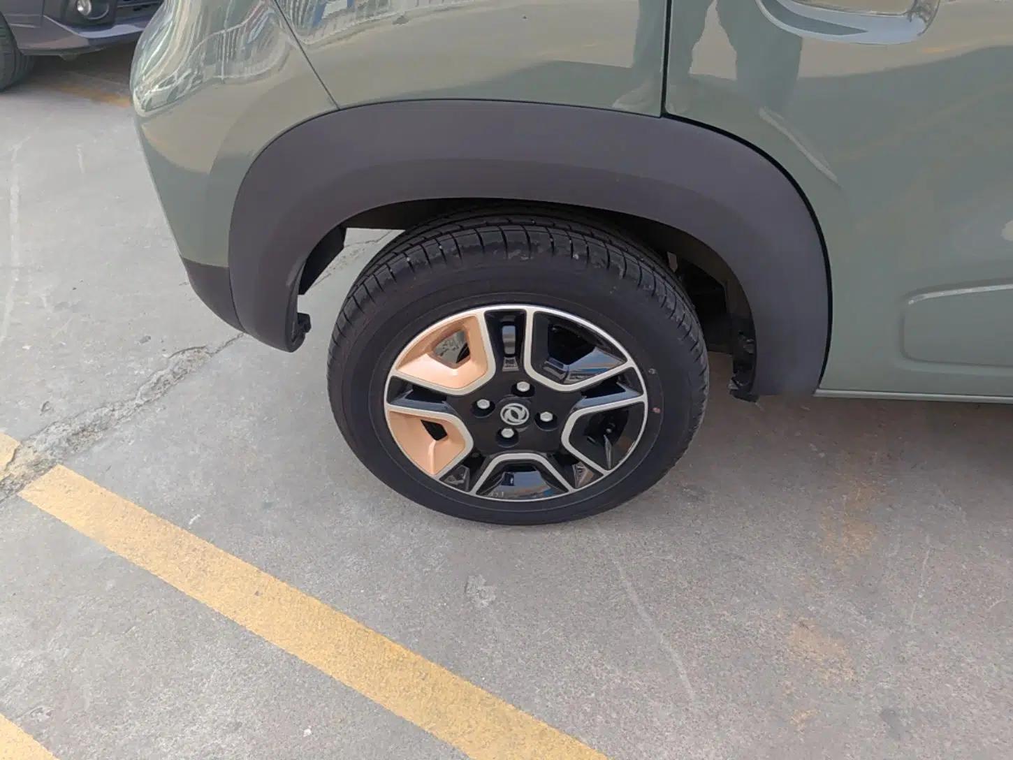 Dongfeng NAMMI BOX 2022 Champion Edition Light Wind Version 201KM Standard Model — миниатюра 10