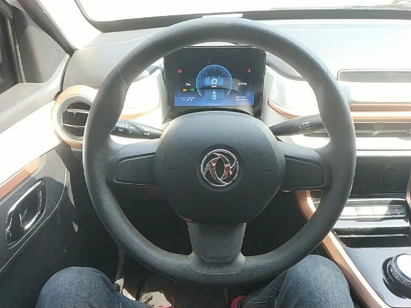 Dongfeng NAMMI BOX 2022 Revised Light Wind Edition 201 km Standard Version — миниатюра 14