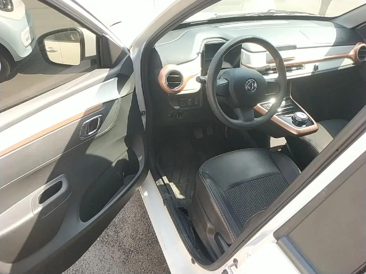Dongfeng NAMMI BOX 2022 Revised Light Wind Edition 201 km Standard Version — миниатюра 19