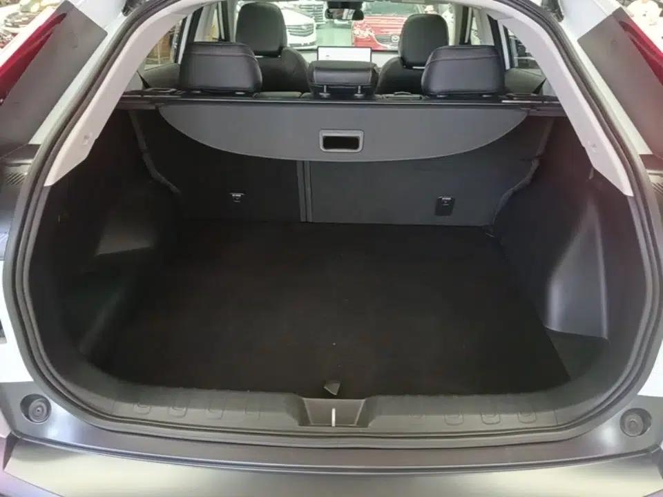 GAC Trumpchi EMKOO 2022 2.0 ATK TwinStar Pro Edition — миниатюра 21