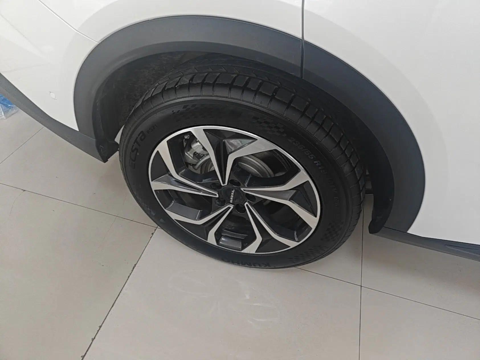 Haval Fierce Dragon Max 2025 Hi4 165 Ultra Smart Drive Edition — миниатюра 10