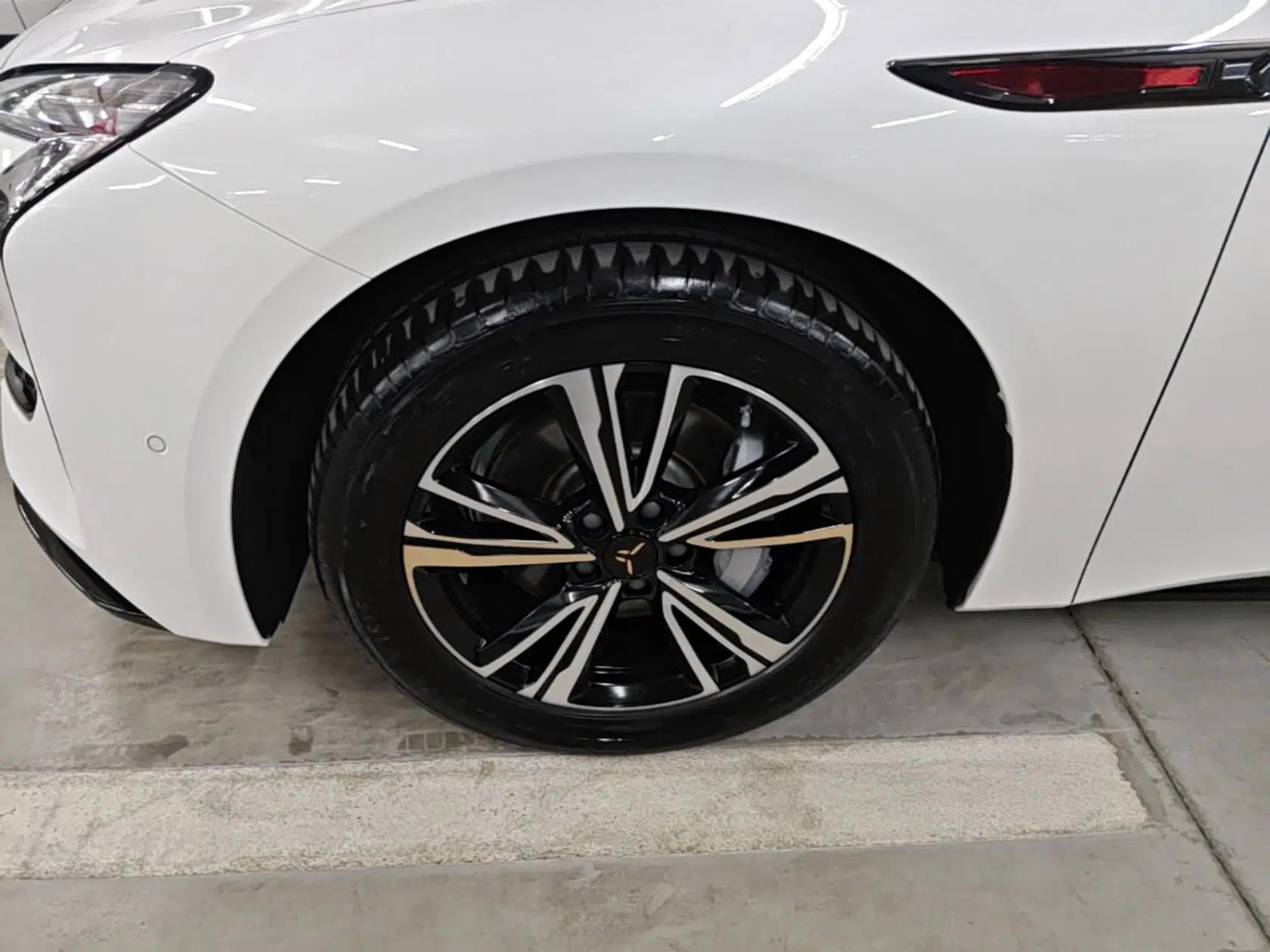 Hongqi EH7 2024 820 Pro Honor Edition — миниатюра 9