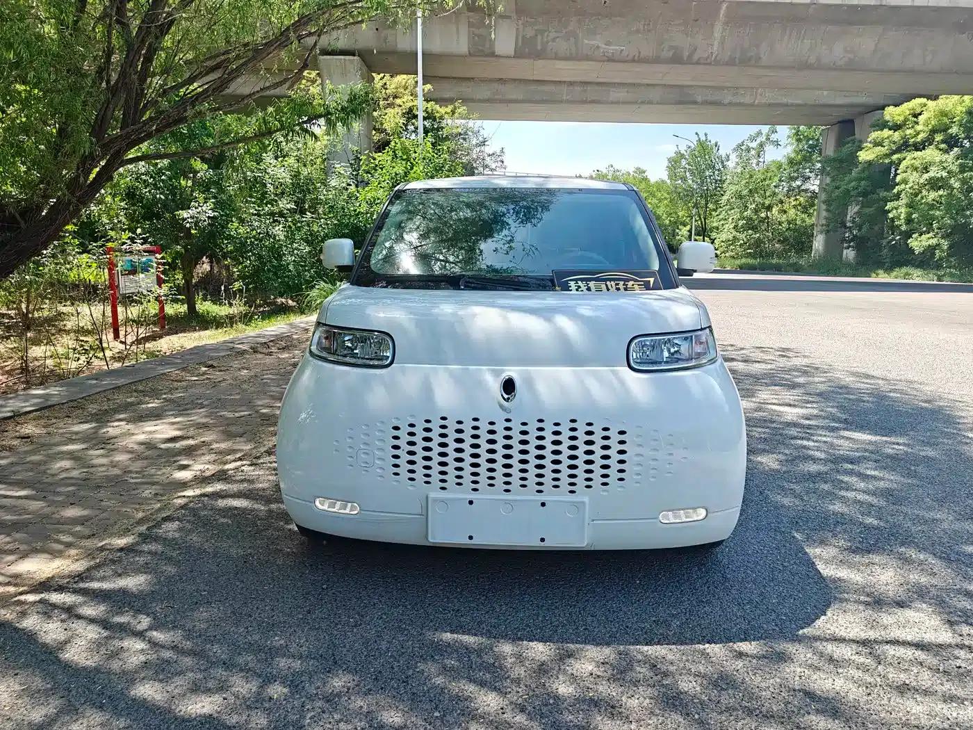 ORA White Cat 2020 Model 305km Luxury — миниатюра 2