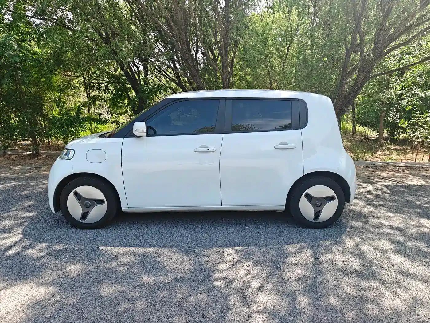 ORA White Cat 2020 Model 305km Luxury — миниатюра 12