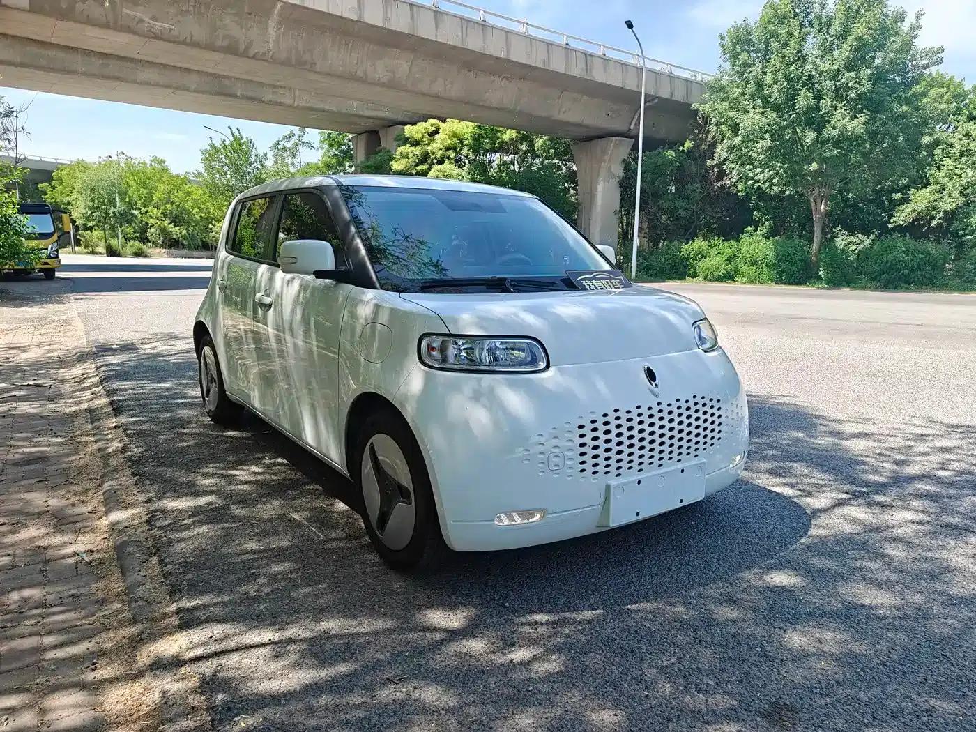 ORA White Cat 2020 Model 305km Luxury — миниатюра 3