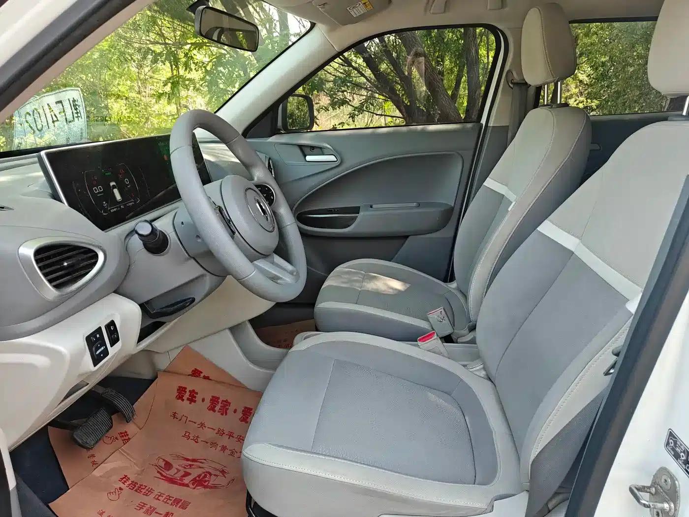 ORA White Cat 2020 Model 305km Luxury — миниатюра 4