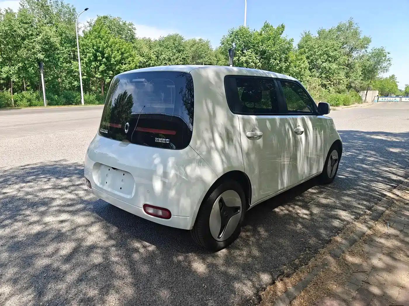ORA White Cat 2020 Model 305km Luxury — миниатюра 7