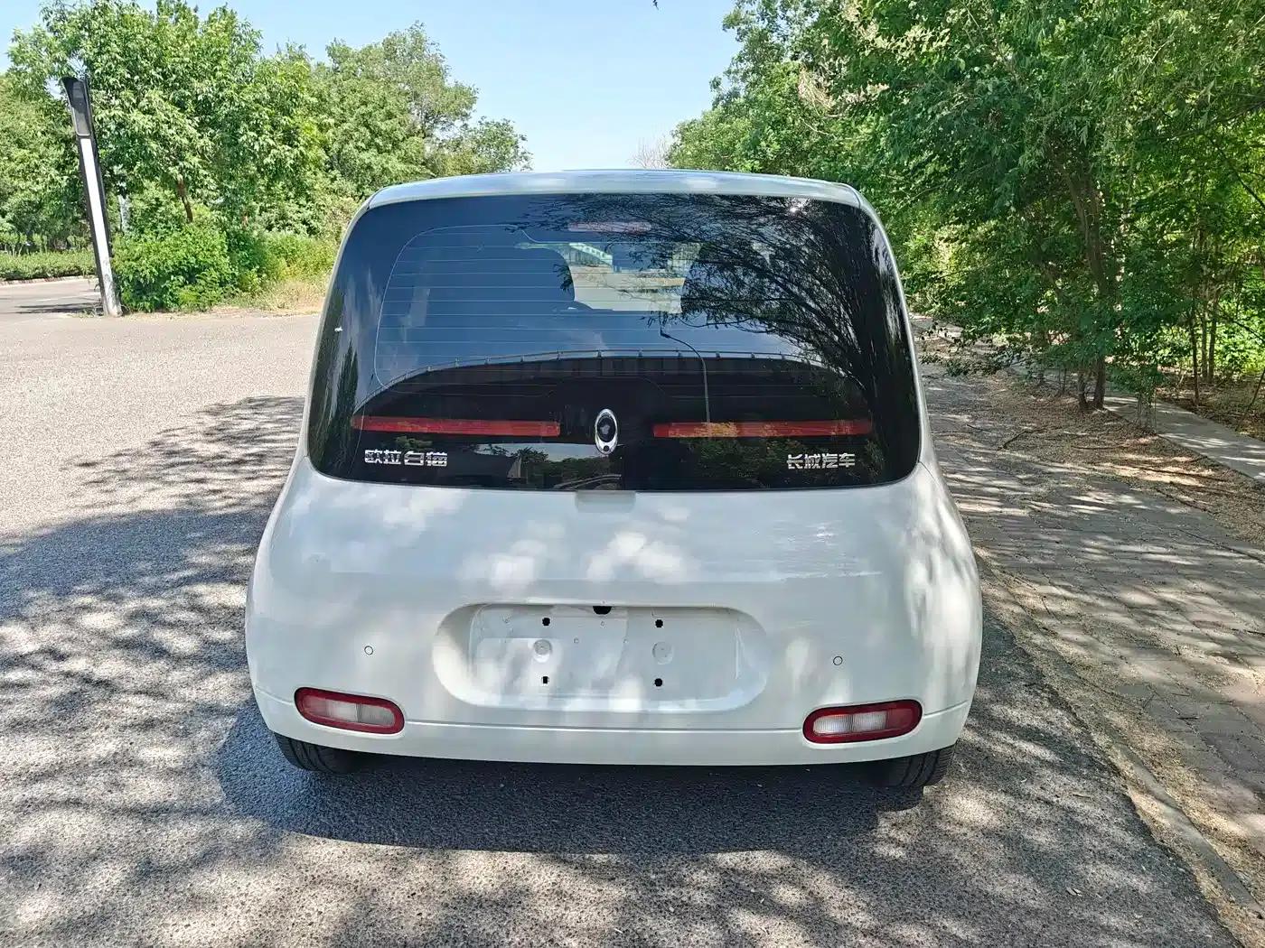 ORA White Cat 2020 Model 305km Luxury — миниатюра 8
