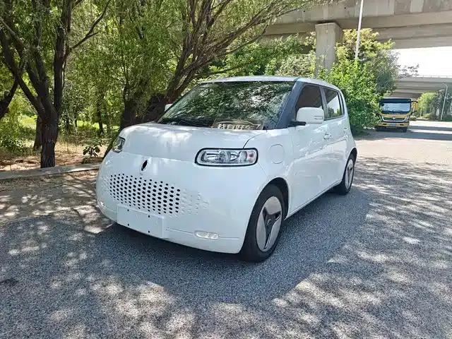 ORA White Cat 2020 Model 305km Luxury