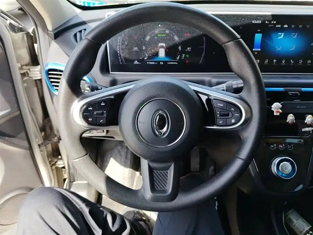 ORA White Cat 2020 Model 401km Flagship Edition — миниатюра 11