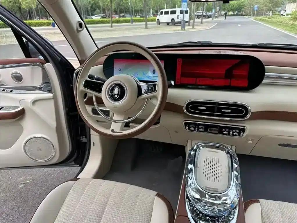 Euler Ballet Cat 2023 Model 401km Premium — миниатюра 11