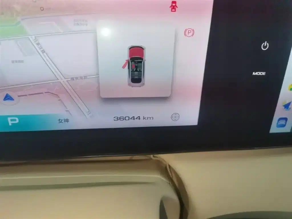 Euler Ballet Cat 2023 Model 401km Premium — миниатюра 12