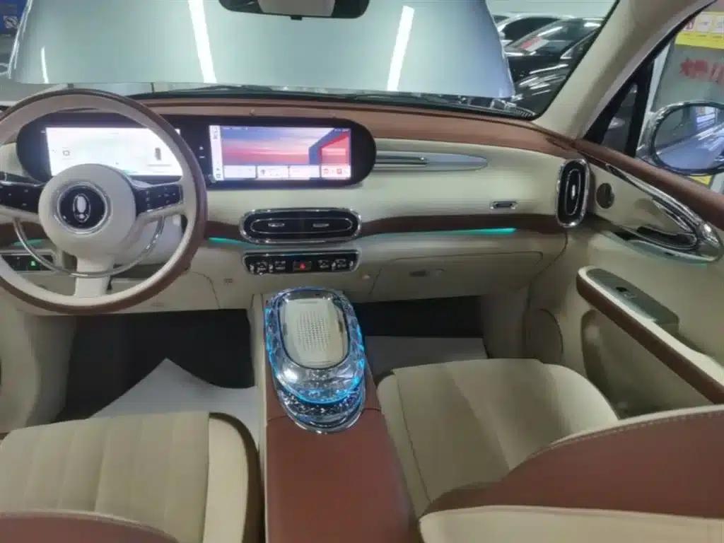 Euler Ballet Cat 2023 Model 401km Premium — миниатюра 13