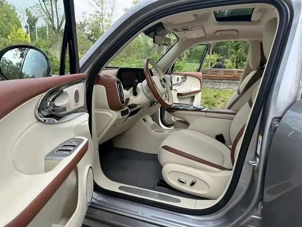 Euler Ballet Cat 2023 Model 401km Premium — миниатюра 15