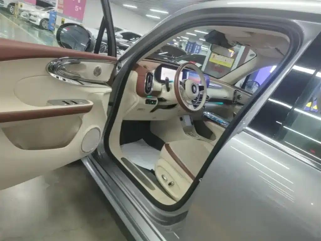 Euler Ballet Cat 2023 Model 401km Premium — миниатюра 16