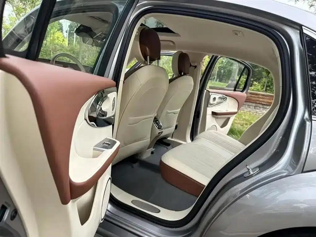 Euler Ballet Cat 2023 Model 401km Premium — миниатюра 17