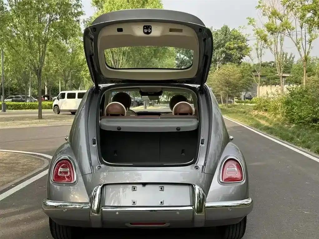 Euler Ballet Cat 2023 Model 401km Premium — миниатюра 19