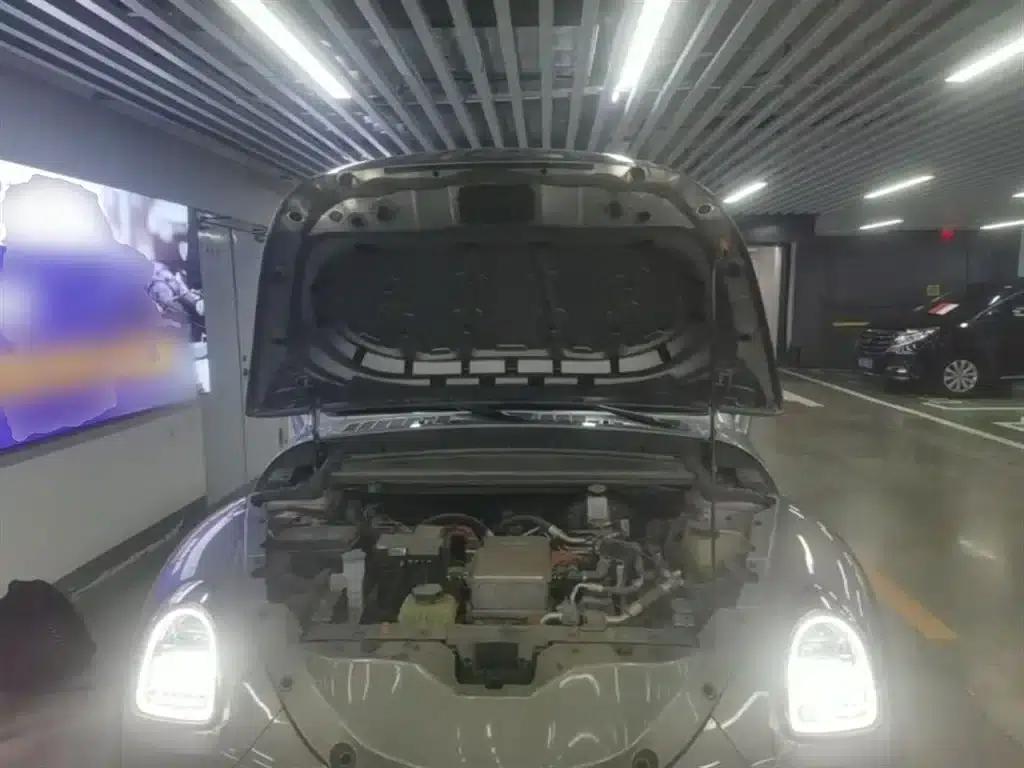 Euler Ballet Cat 2023 Model 401km Premium — миниатюра 20