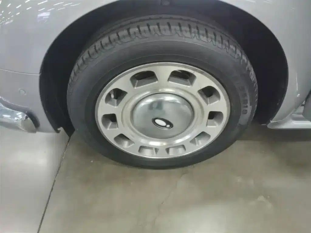 Euler Ballet Cat 2023 Model 401km Premium — миниатюра 23