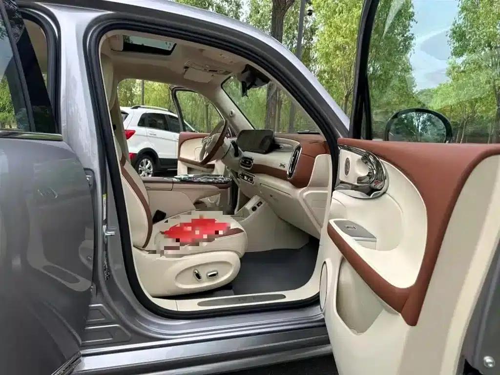 Euler Ballet Cat 2023 Model 401km Premium — миниатюра 25