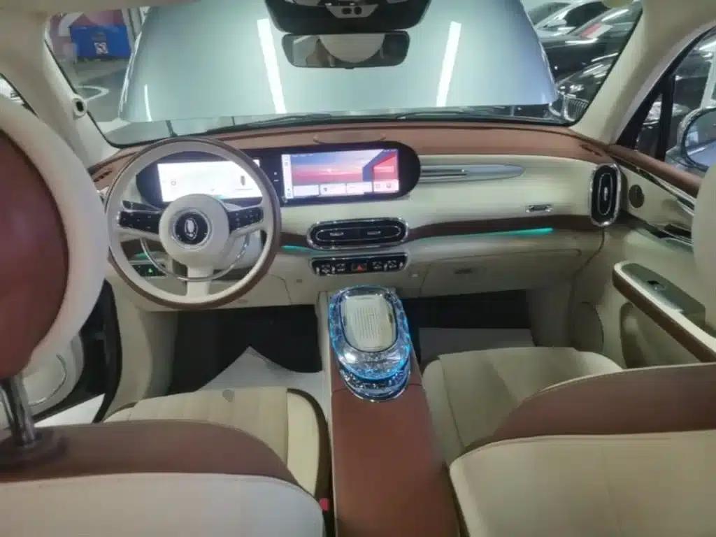 Euler Ballet Cat 2023 Model 401km Premium — миниатюра 10