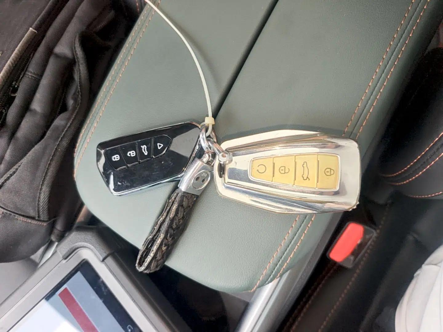 Geely Auto Haoyue L 2023 2.0T DCT Prestige Edition — миниатюра 12