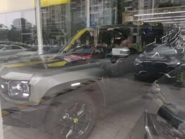 JETOUR Shanhai Traveler C-DM 2024 C-DM 129KM Linye Edition