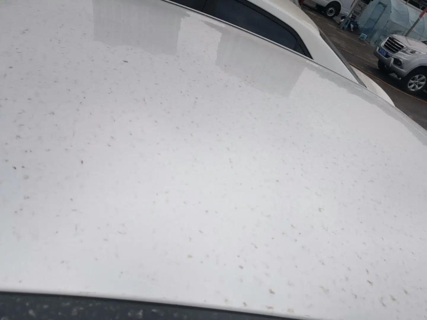 Geely Galaxy Stellar 6 2026 Model 60km Sailing Edition — миниатюра 11