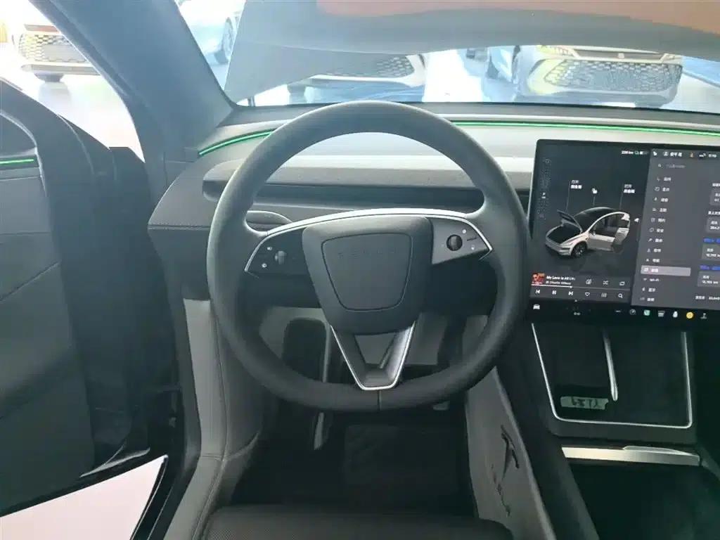 Model Y L 2025 Long Range All-Wheel Drive — миниатюра 11