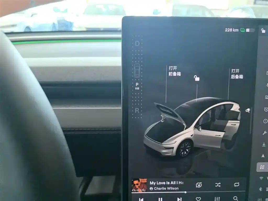 Model Y L 2025 Long Range All-Wheel Drive — миниатюра 14