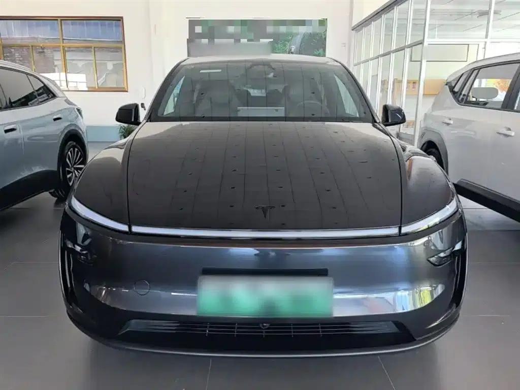 Model Y L 2025 Long Range All-Wheel Drive — миниатюра 3