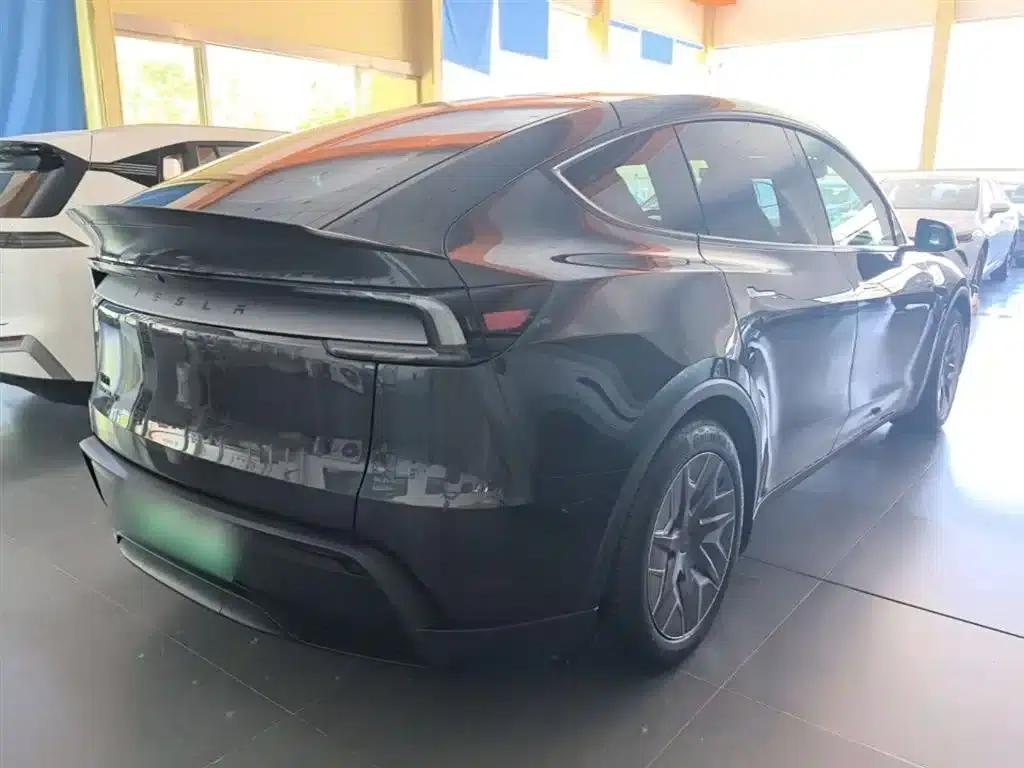 Model Y L 2025 Long Range All-Wheel Drive — миниатюра 7