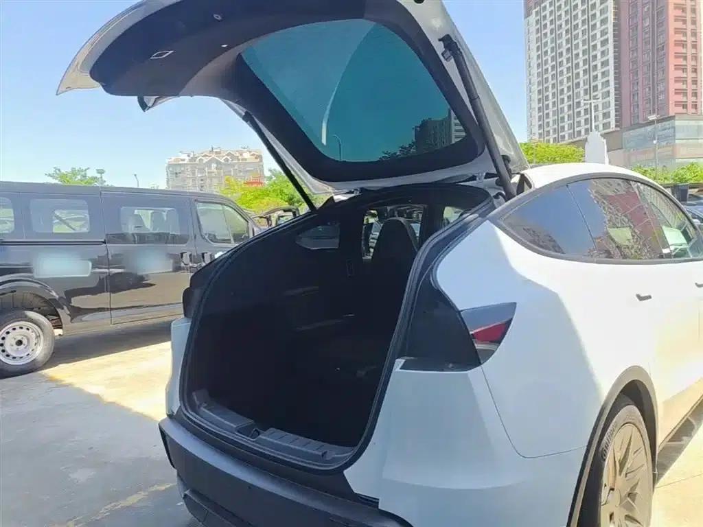 Model Y L 2025 Long Range All-Wheel Drive — миниатюра 19