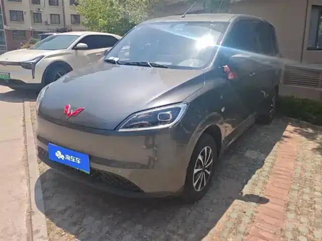 Wuling Hongguang New Energy 2024 Pure Electric Version 300KM Standard Edition
