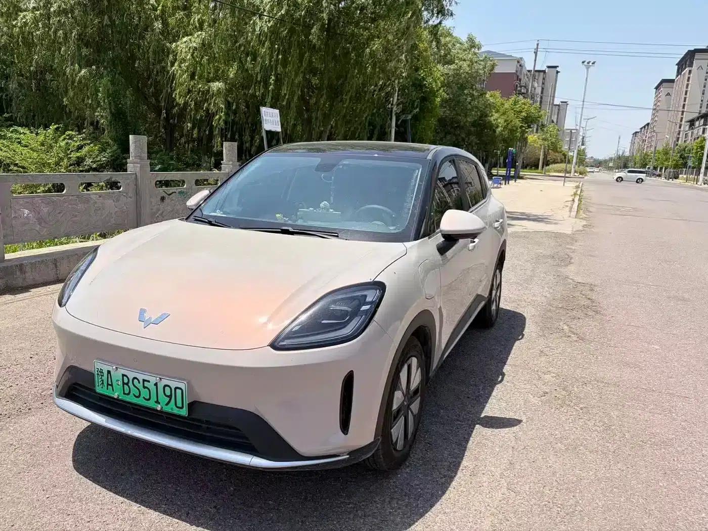 Bingo S 2025 Model 325km Premium Edition — миниатюра 2