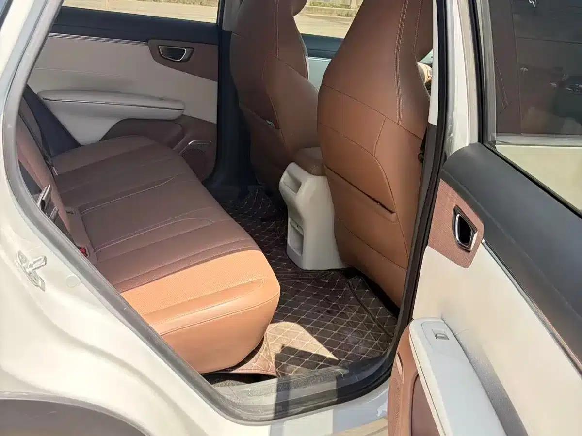 Bingo S 2025 Model 325km Premium Edition — миниатюра 15